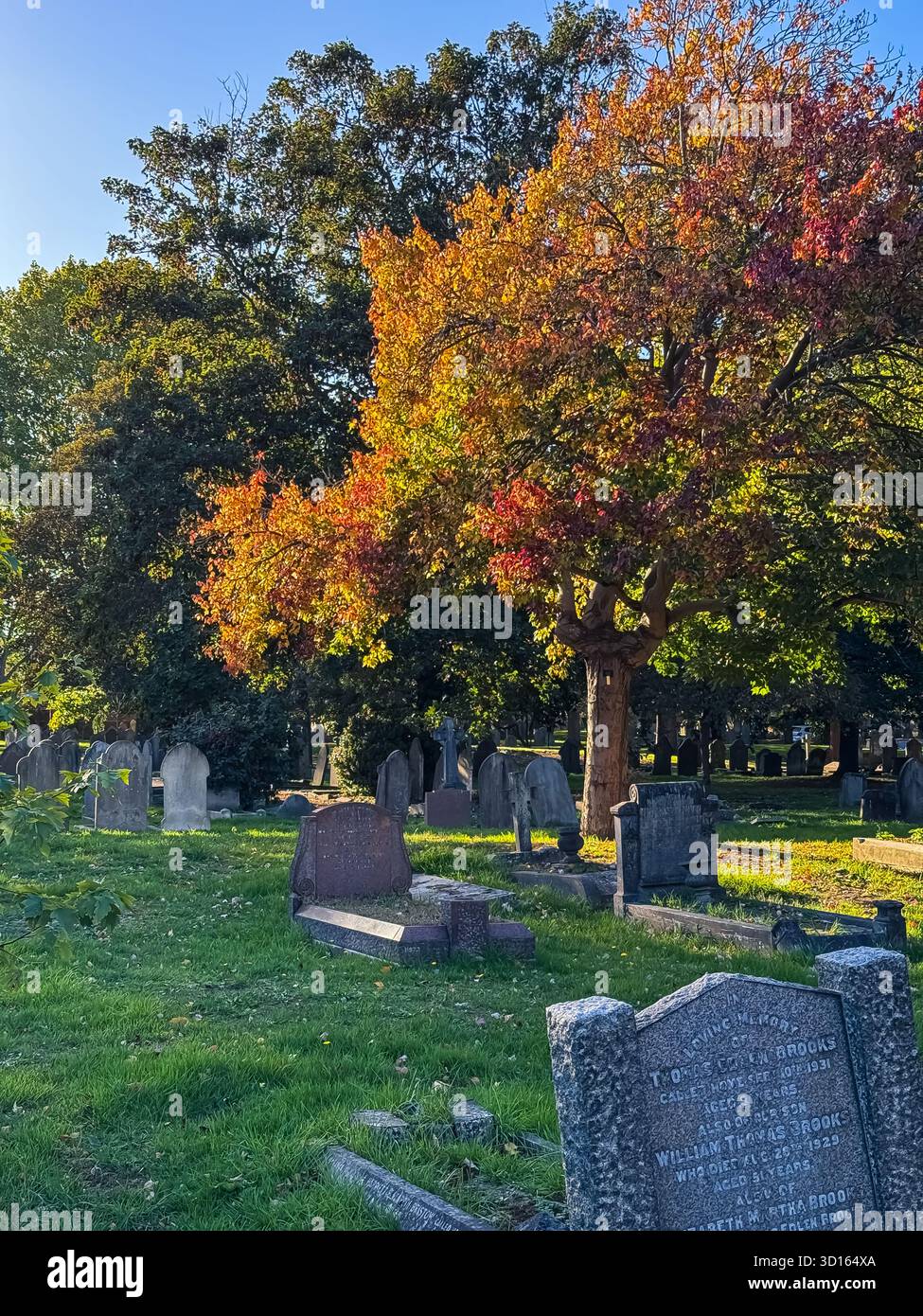 Hanwell Cemetery, Ealing, London - Smartphone Captured Stock Image