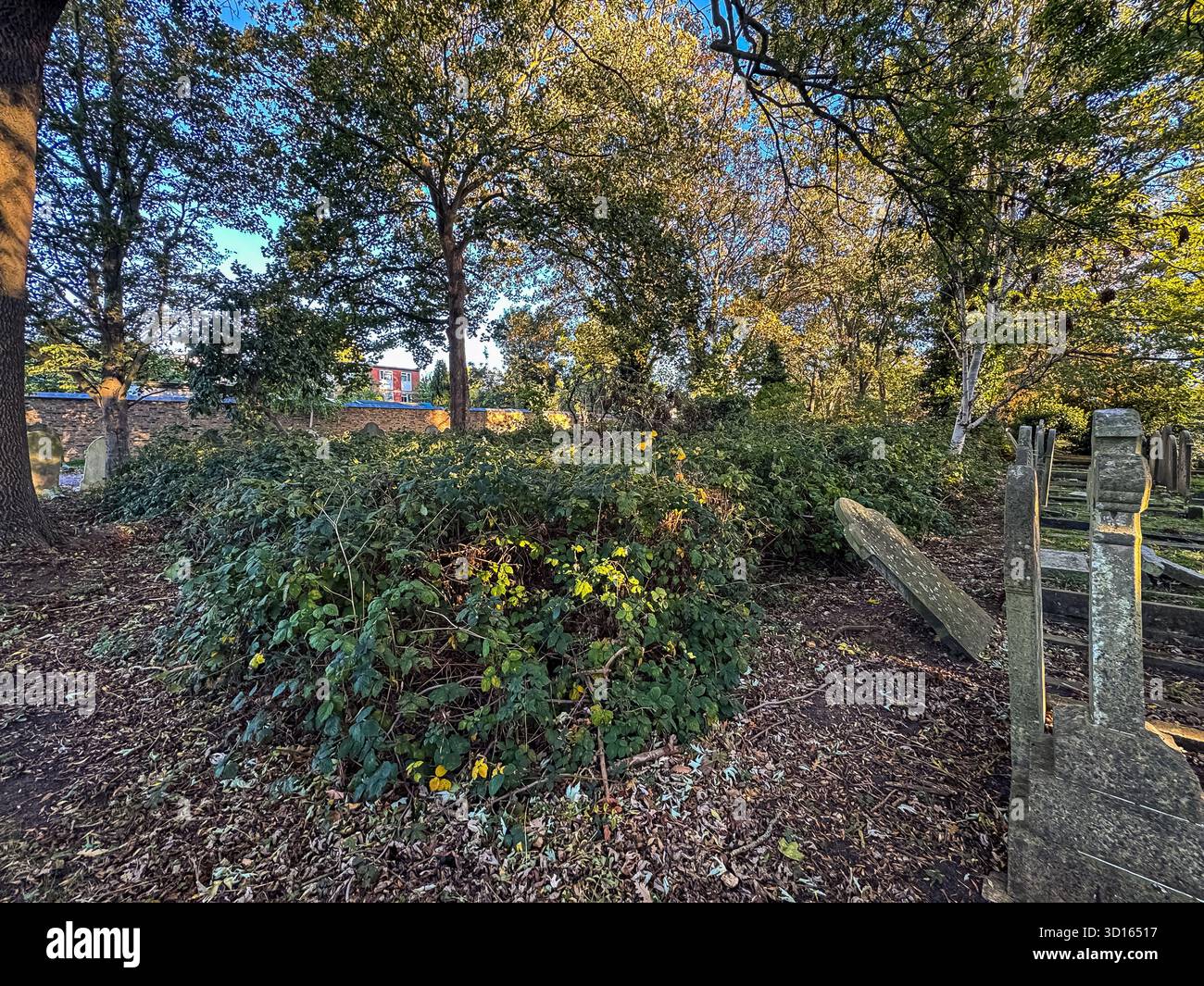 Hanwell Cemetery, Ealing, London - Smartphone Captured Stock Image