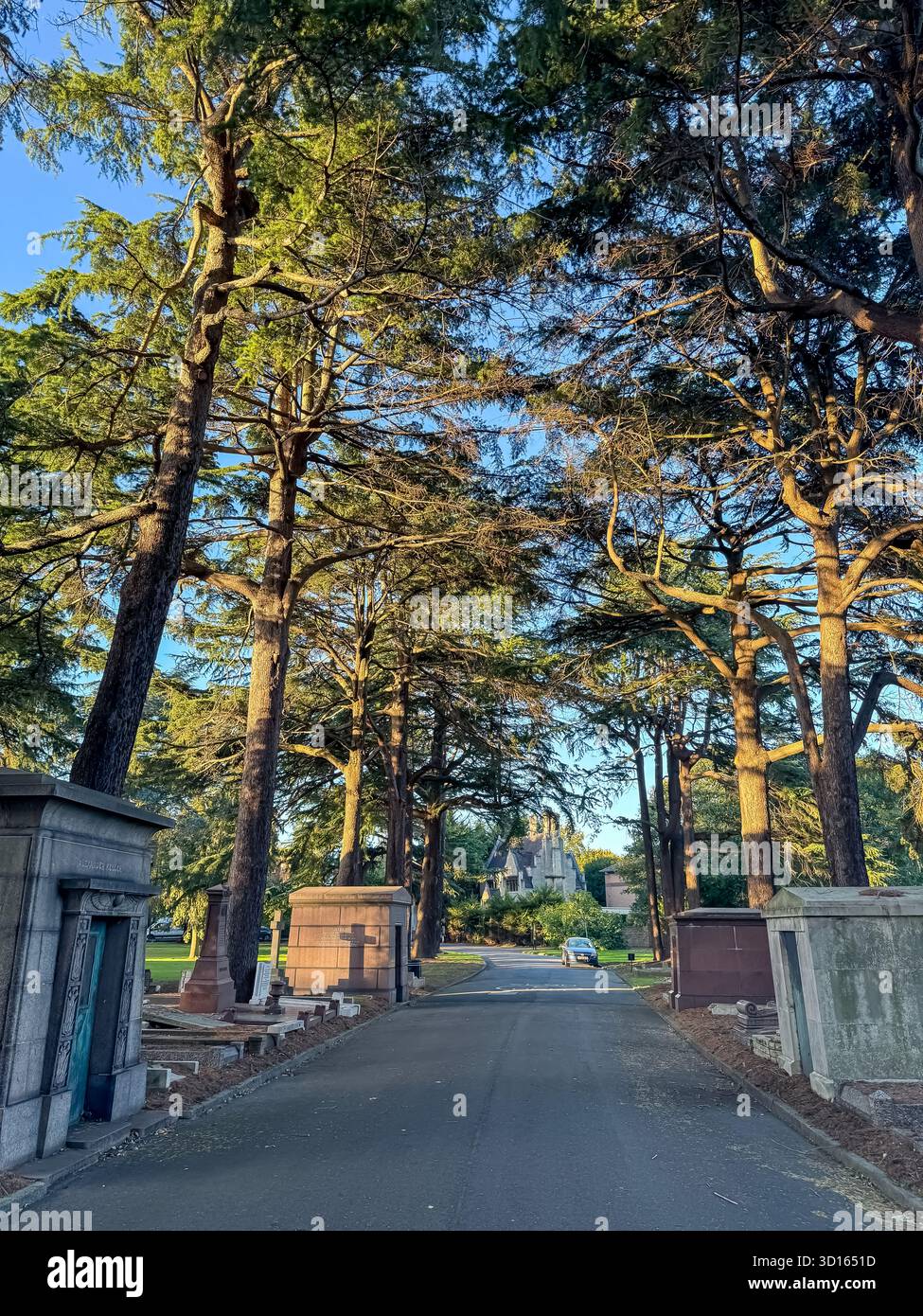 Hanwell Cemetery, Ealing, London - Smartphone Captured Stock Image