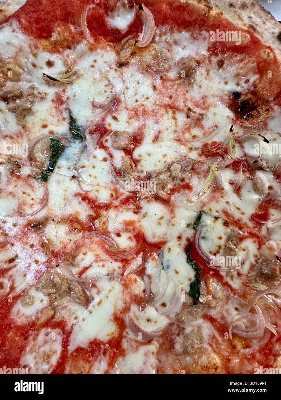 Tuna and Onion Pizza - Smartphone Captured Stock Image