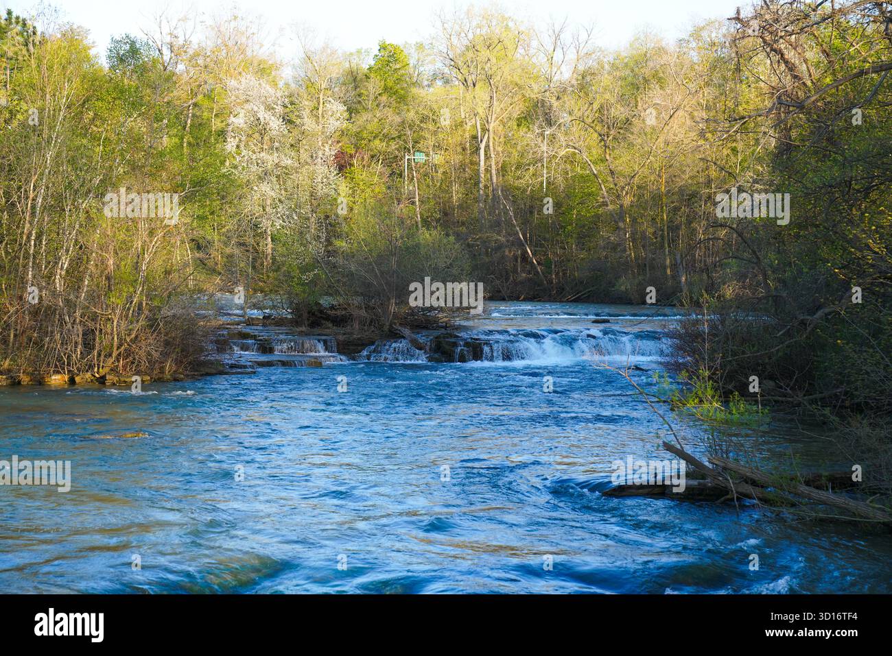 A quiet section of the Niagara River flows through lush spring trees and gentle cascades, showing the natural forest beauty surrounding Niagara Falls Stock Photo