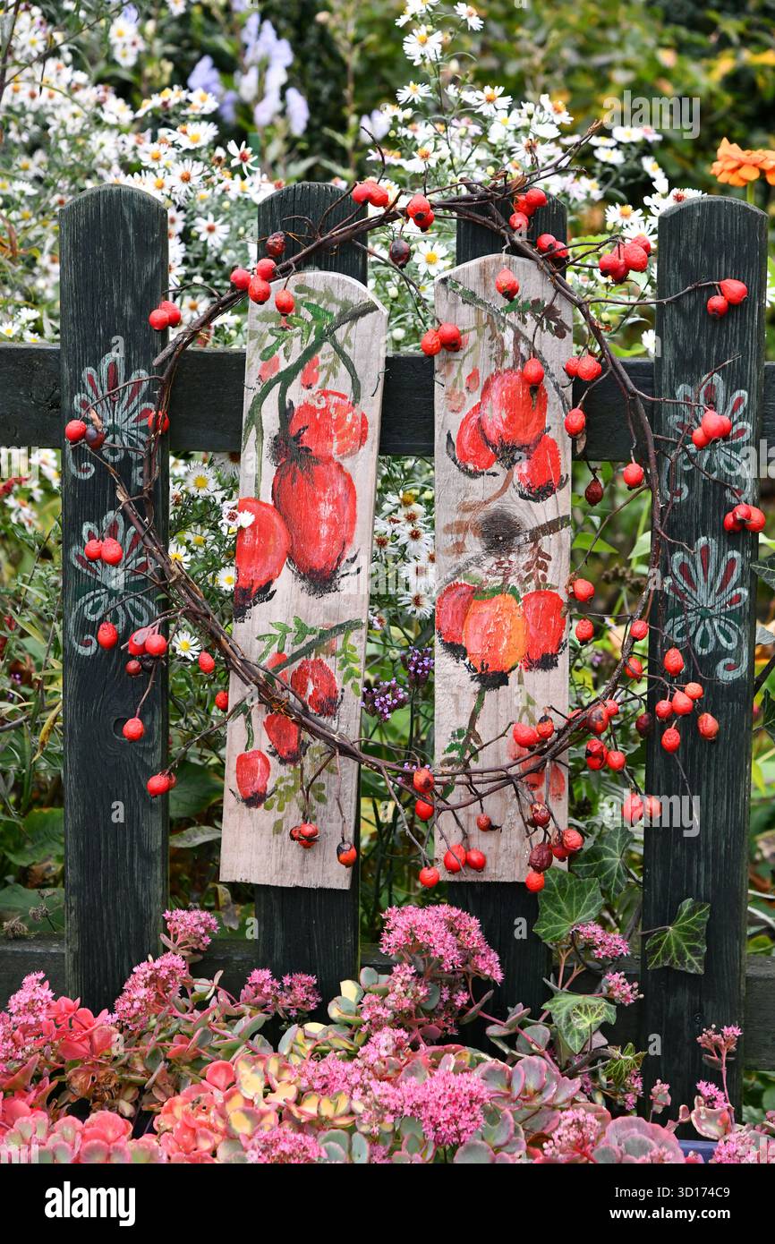 Autumn decoration with rose hips Stock Photo