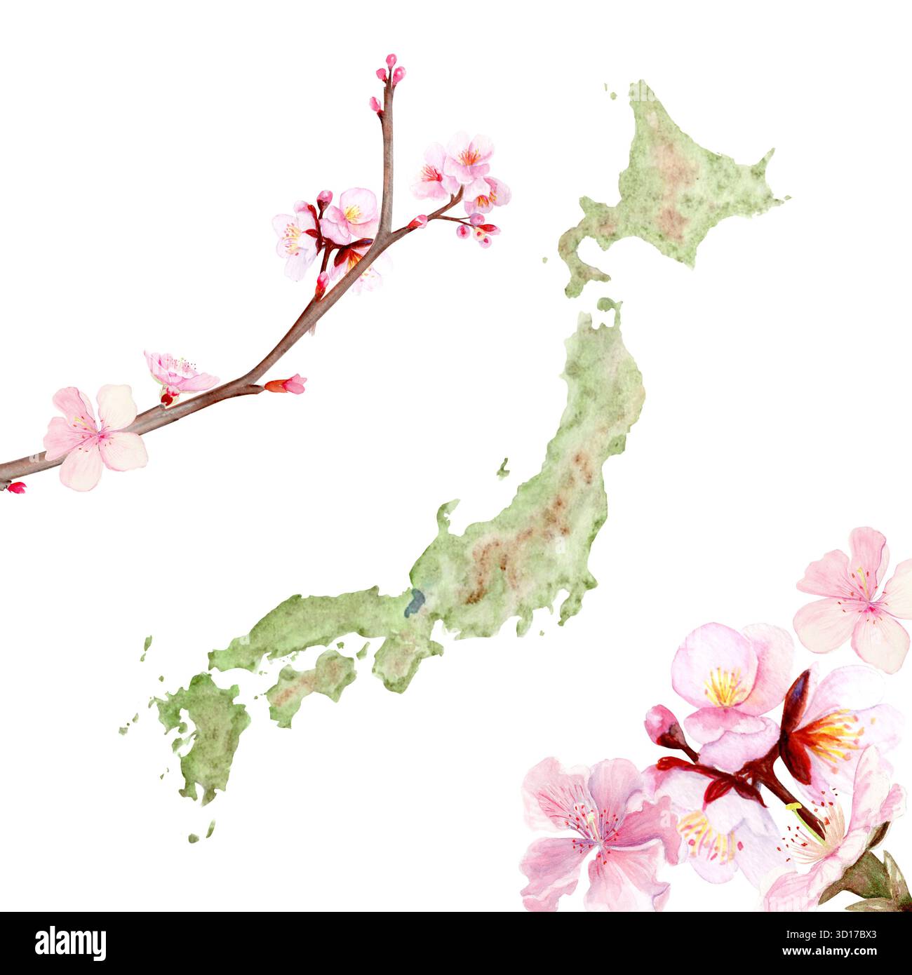 Geography japan japanese world map travel map continent country hi-res  stock photography and images - Page 2 - Alamy, image size:1300x1390