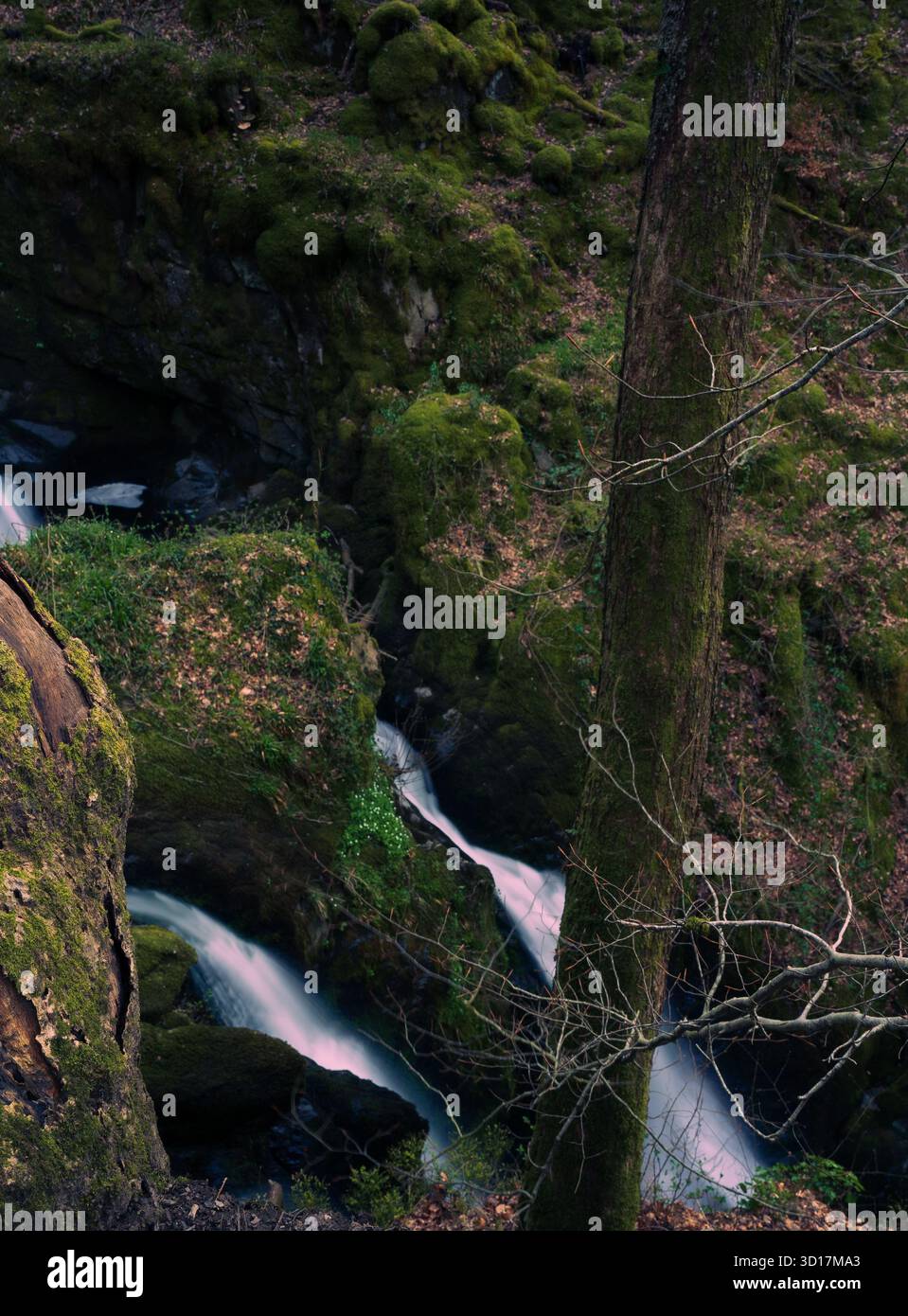Stock Ghyll Force Waterfall in Lake District Stock Photo