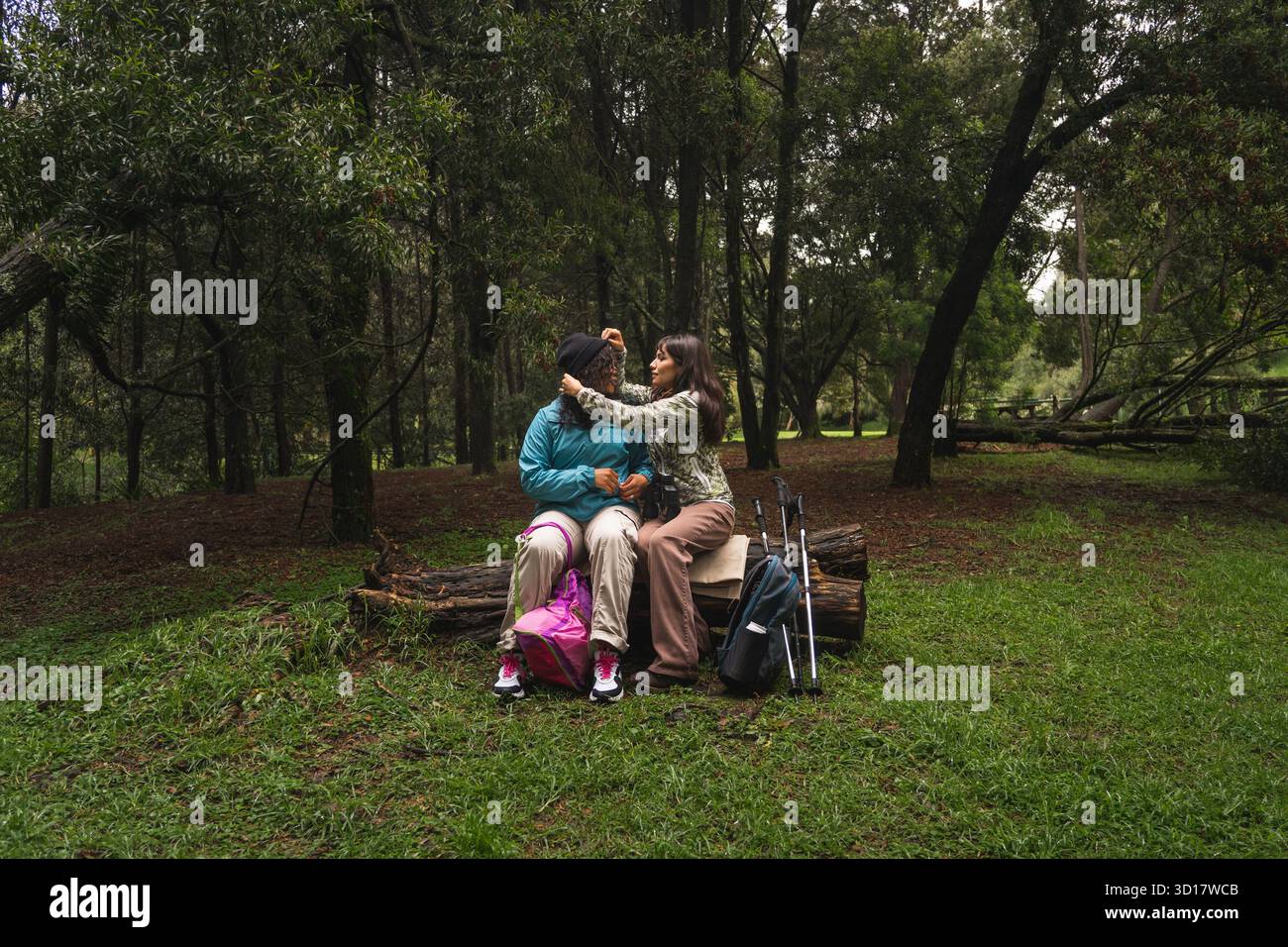 Female couple sitting on a log, exchanging loving gestures in a green forest Stock Photo