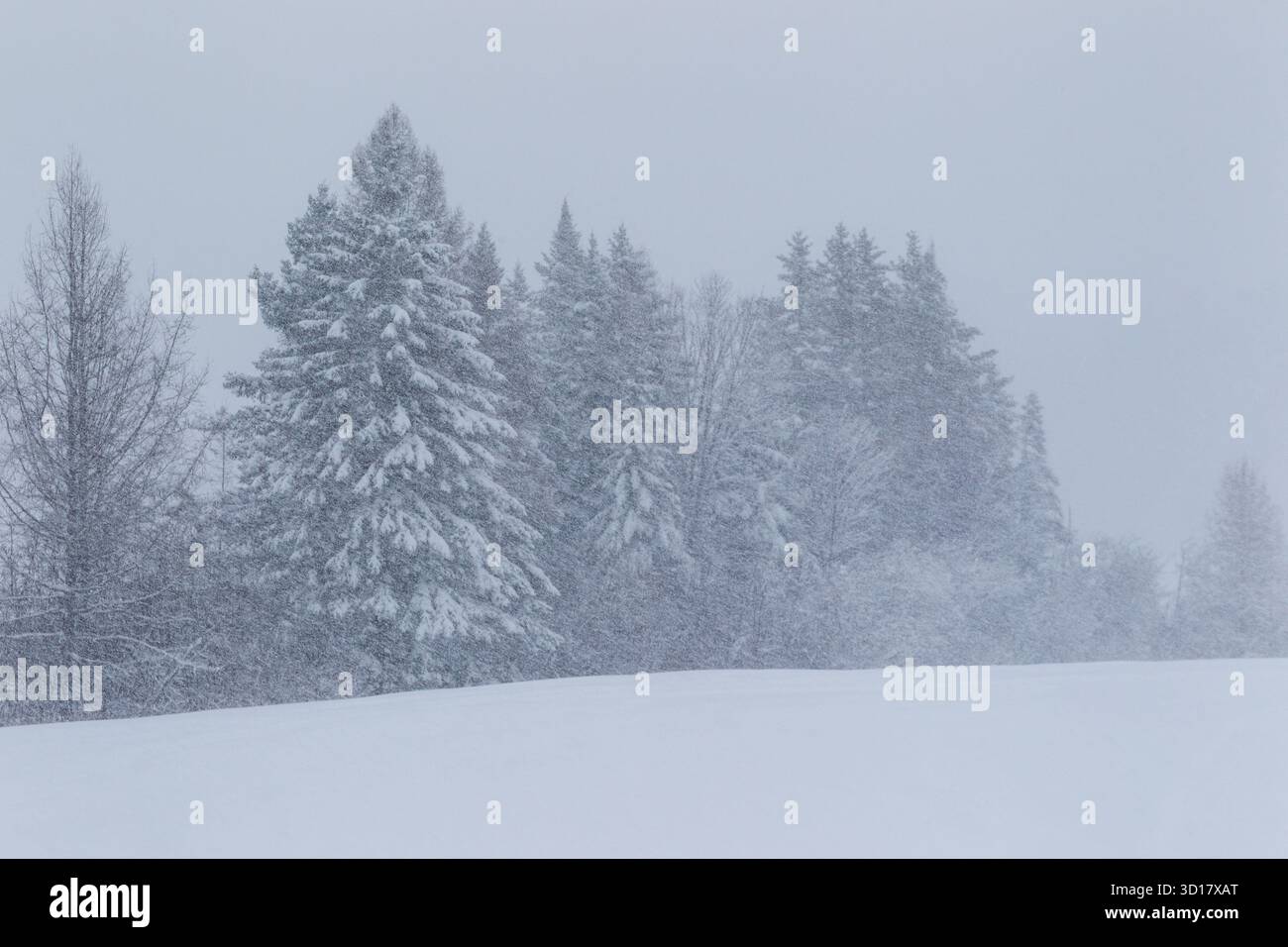 Snowing heavy hi-res stock photography and images - Alamy