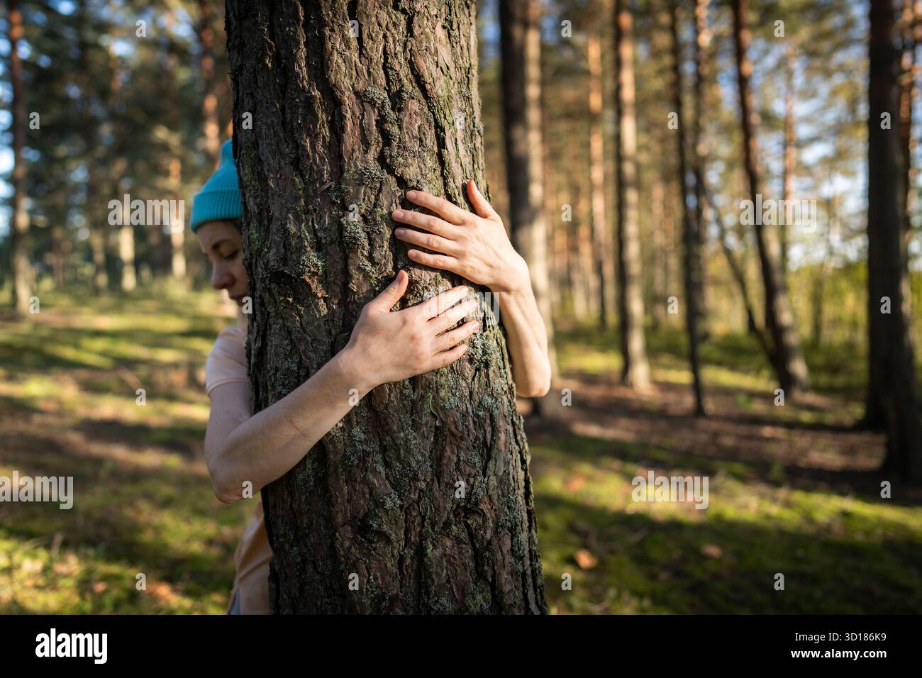 Woman hands hugging tree trunk with love in forest. Protecting nature ...