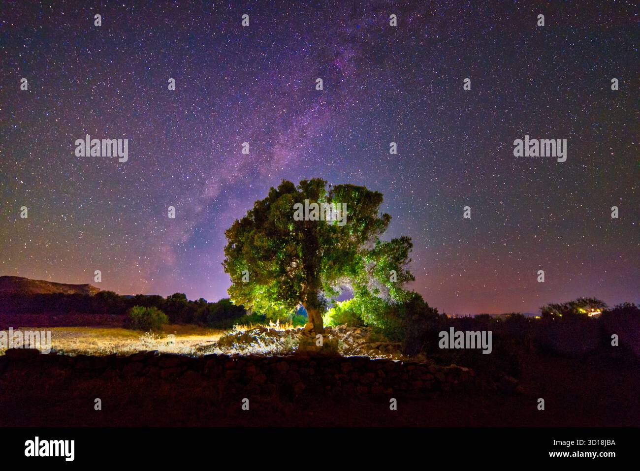 Solitary Tree Under Starry Night Sky and Milky Way Stock Photo - Alamy