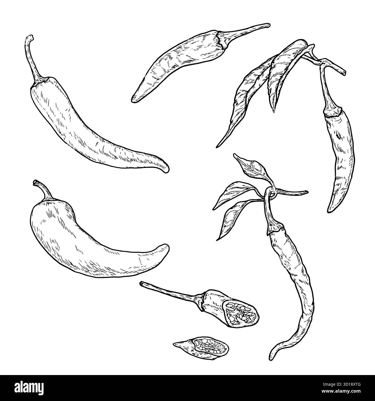 Cooking slices pepper on Stock Vector Images - Alamy