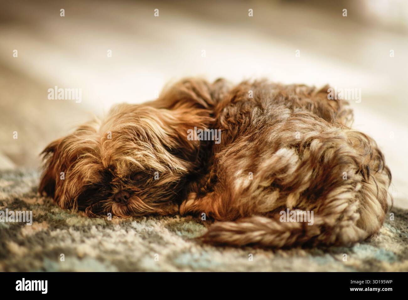 Sucking Simultanously Onlayn tomosha qiling Anal jinsiy aloqa anatomiyasi kesma chizish