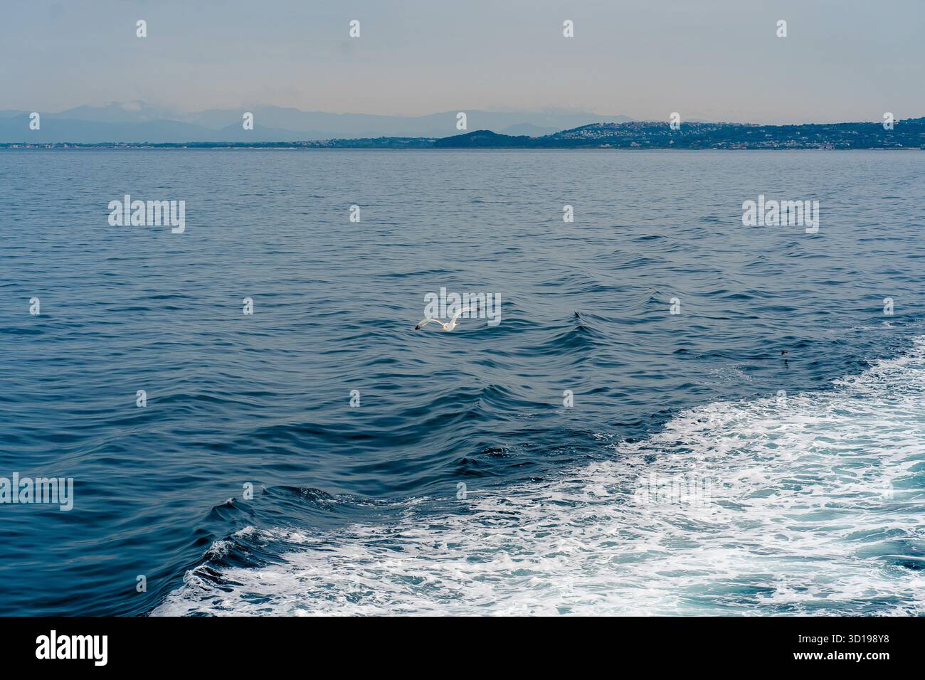 Seagull Soaring Over Ocean Waves Stock Photo