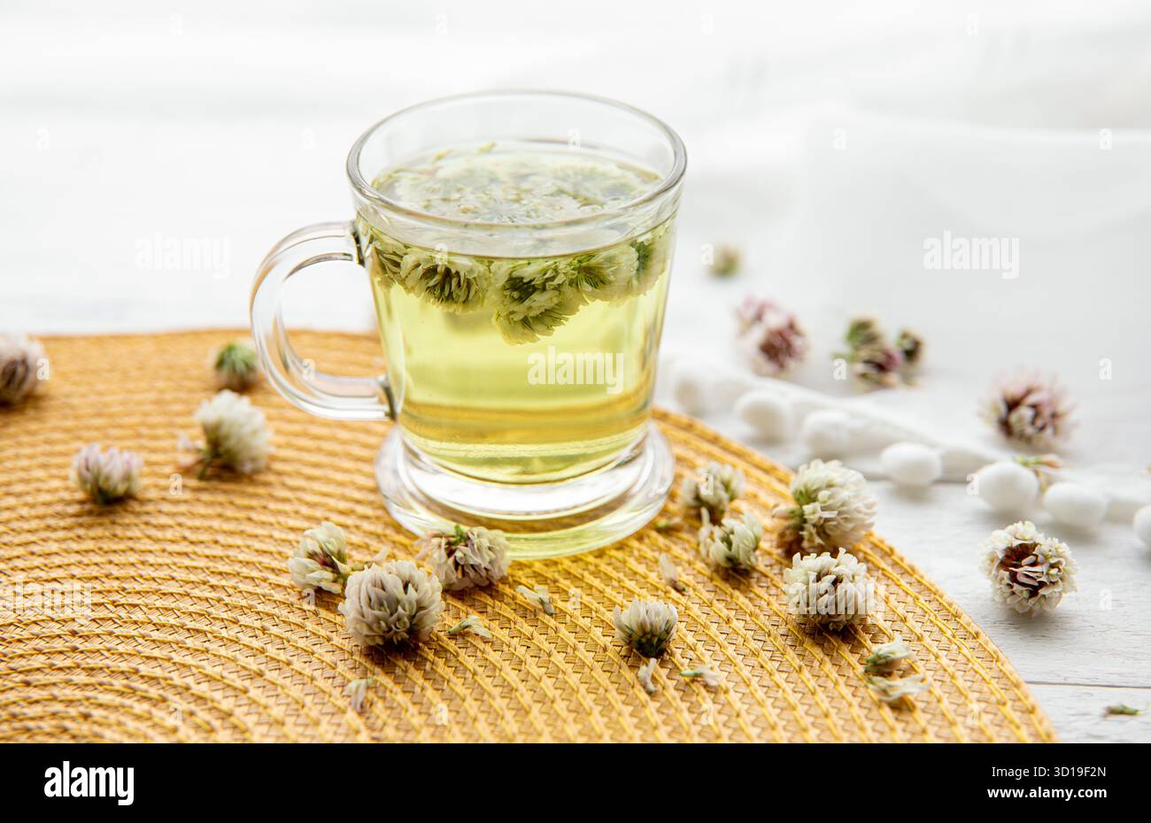 White clover Trifolium repens herbal tea in a clear glass. Steaming hot drink with glower blossoms inside and in bowl, on yellow place mat. Stock Photo
