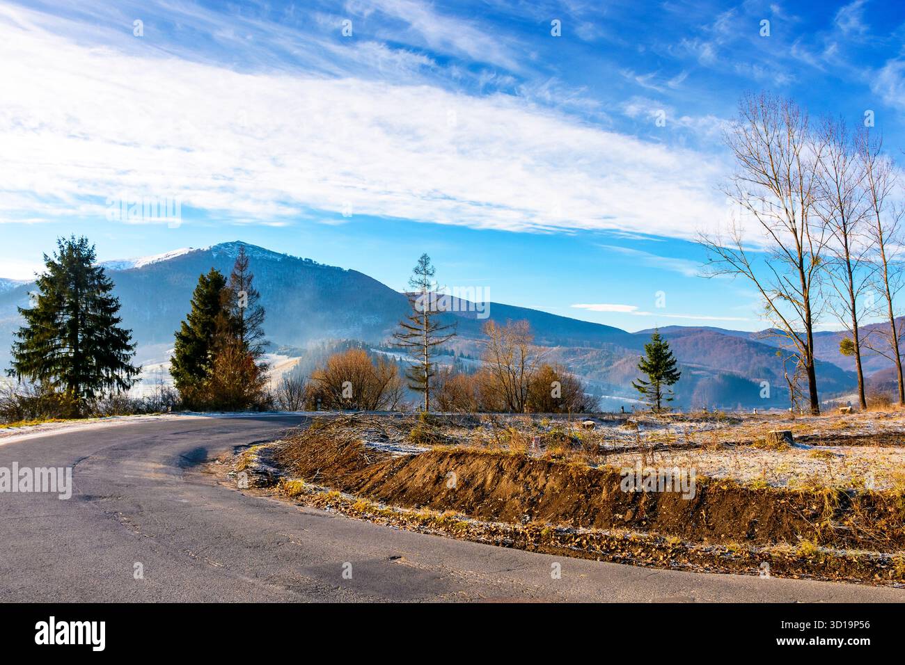 country road in carpathian mountains. beautiful landscape of ukraine in late autumn. fir trees on the roadside in morning light. scenic view of blue s Stock Photo