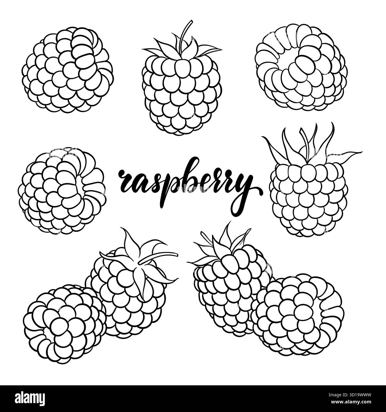 black and white outline raspberry with lettering word raspberry. design ...