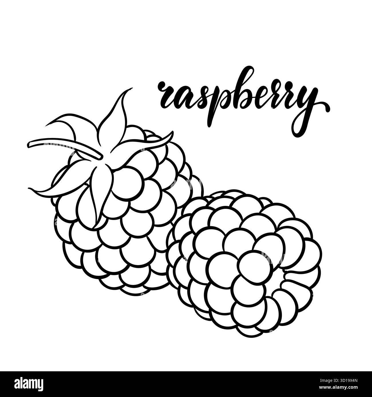 black and white outline raspberry with lettering word raspberry. design ...