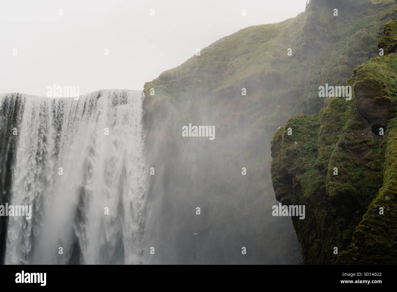 View of powerful Skógafoss waterfall cascades down from moss-covered cliffs into a misty plunge pool, creating a spectacle of natural beauty, Skógafos Stock Photo