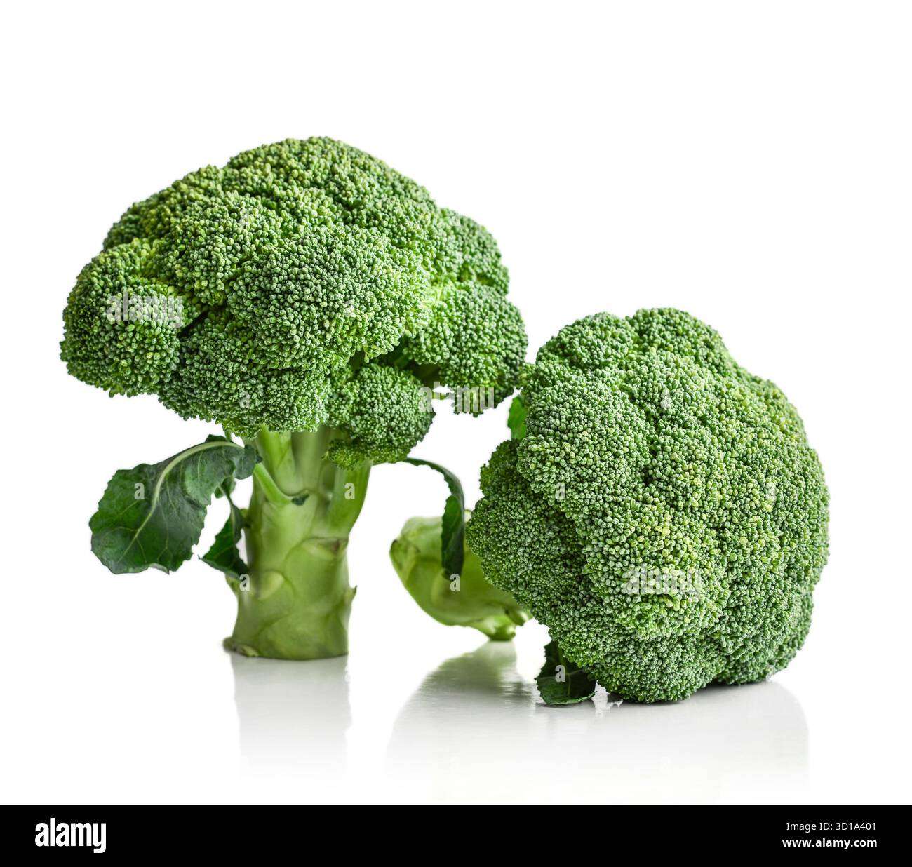 Raw broccoli isolated on a white background Stock Photo