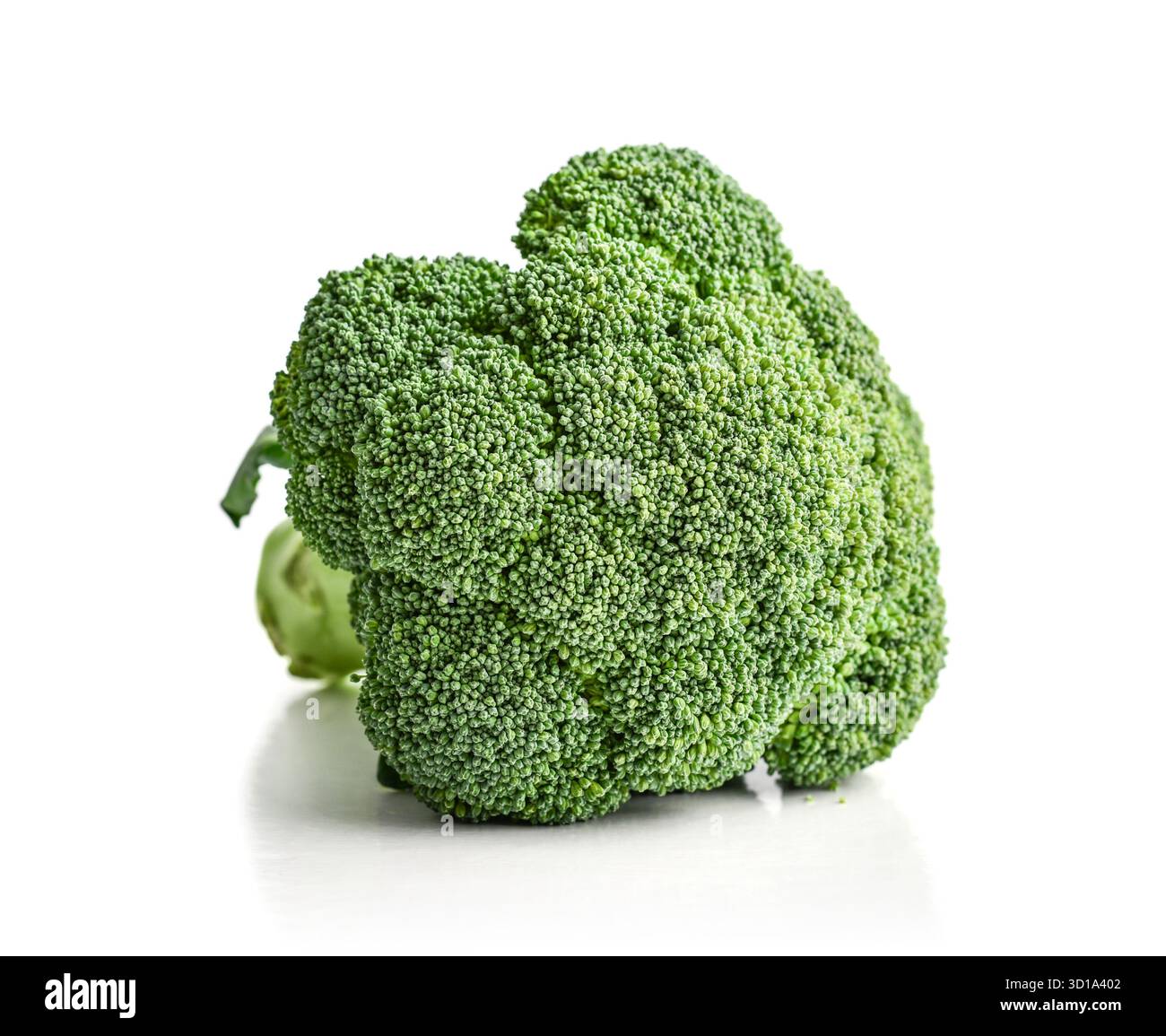 Raw broccoli isolated on a white background Stock Photo
