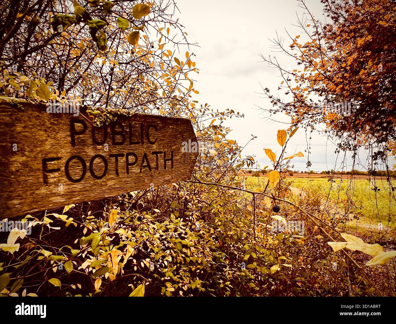 A photograph taken in South Norfolk of a public footpath sign pointing across a field with autumn hedgerows. - Smartphone Captured Stock Image