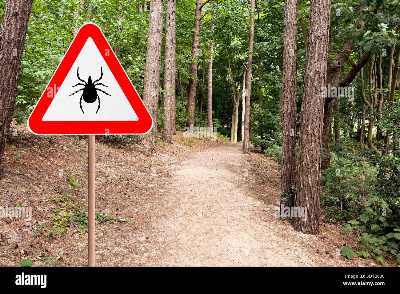 Ticks Forrest Warning sign marking habitat of ticks in forest Stock Photo - Alamy