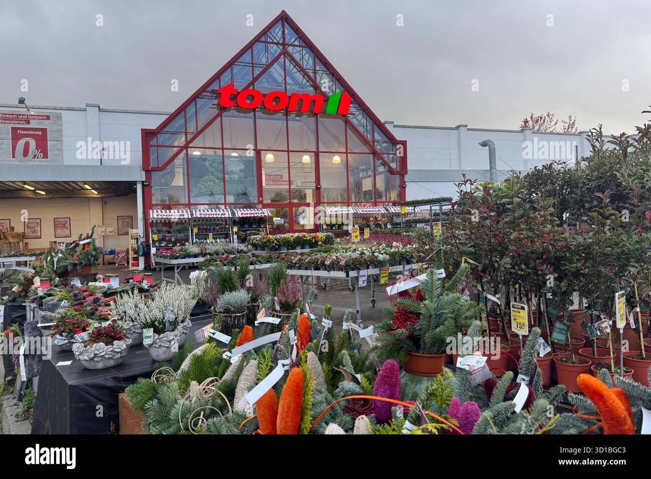 Baumarktkette toom,Waren.Pflanzen ,Herbstpflanzen *** DIY store chain ...