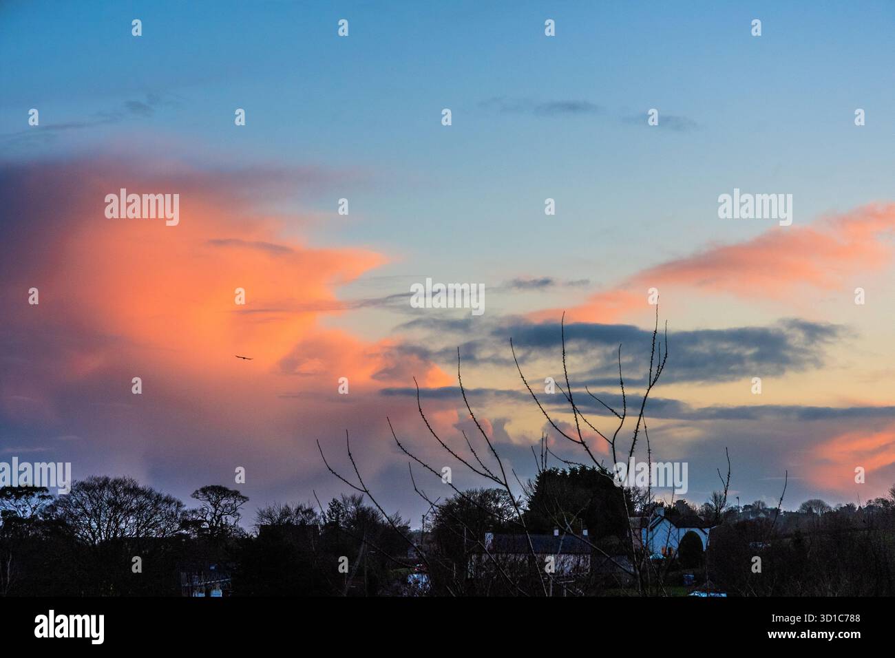 Devon Evening Skies. Stock Photo