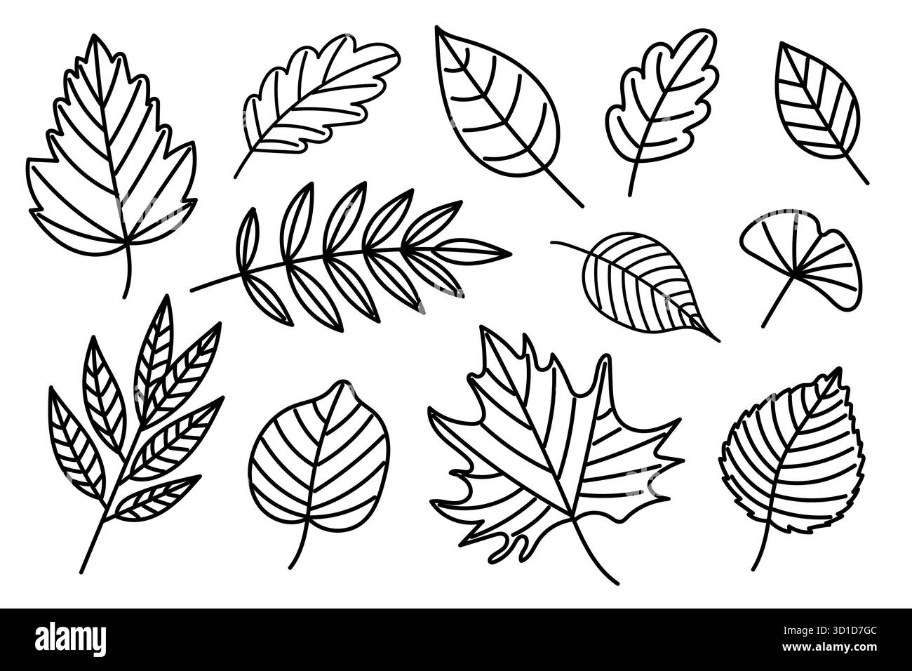 Hand Drawn Black Outline Set of Autumn Leaves Stock Vector Image & Art ...