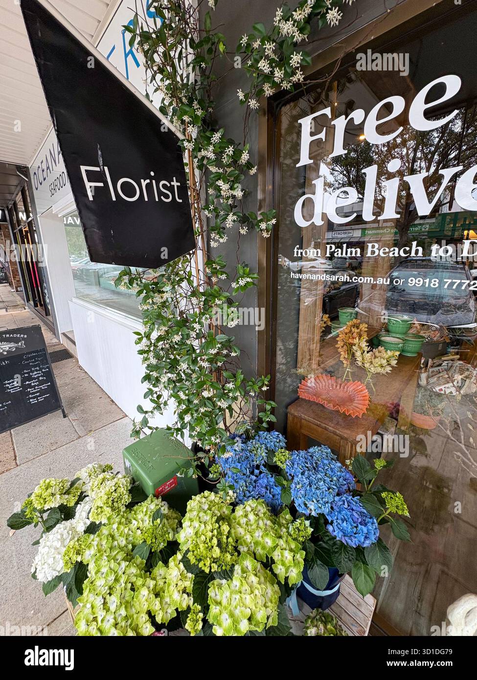 Australian florist shop store in Avalon Beach Sydney, hydrangea plants outside and white flowering jasmine plant - Smartphone Captured Stock Image