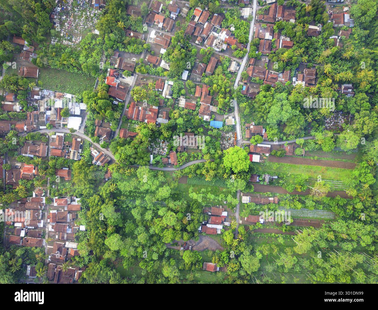 Aerial view of terracotta roofs nestled amongst lush green trees and ...