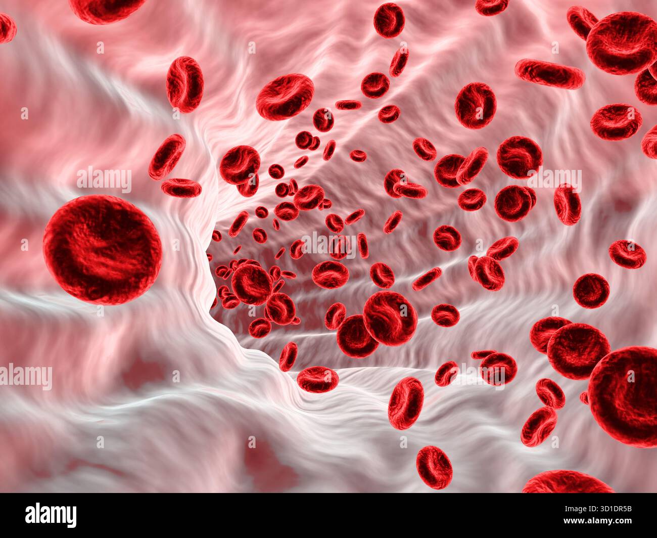 Red blood cells streaming. 3d render Stock Photo - Alamy