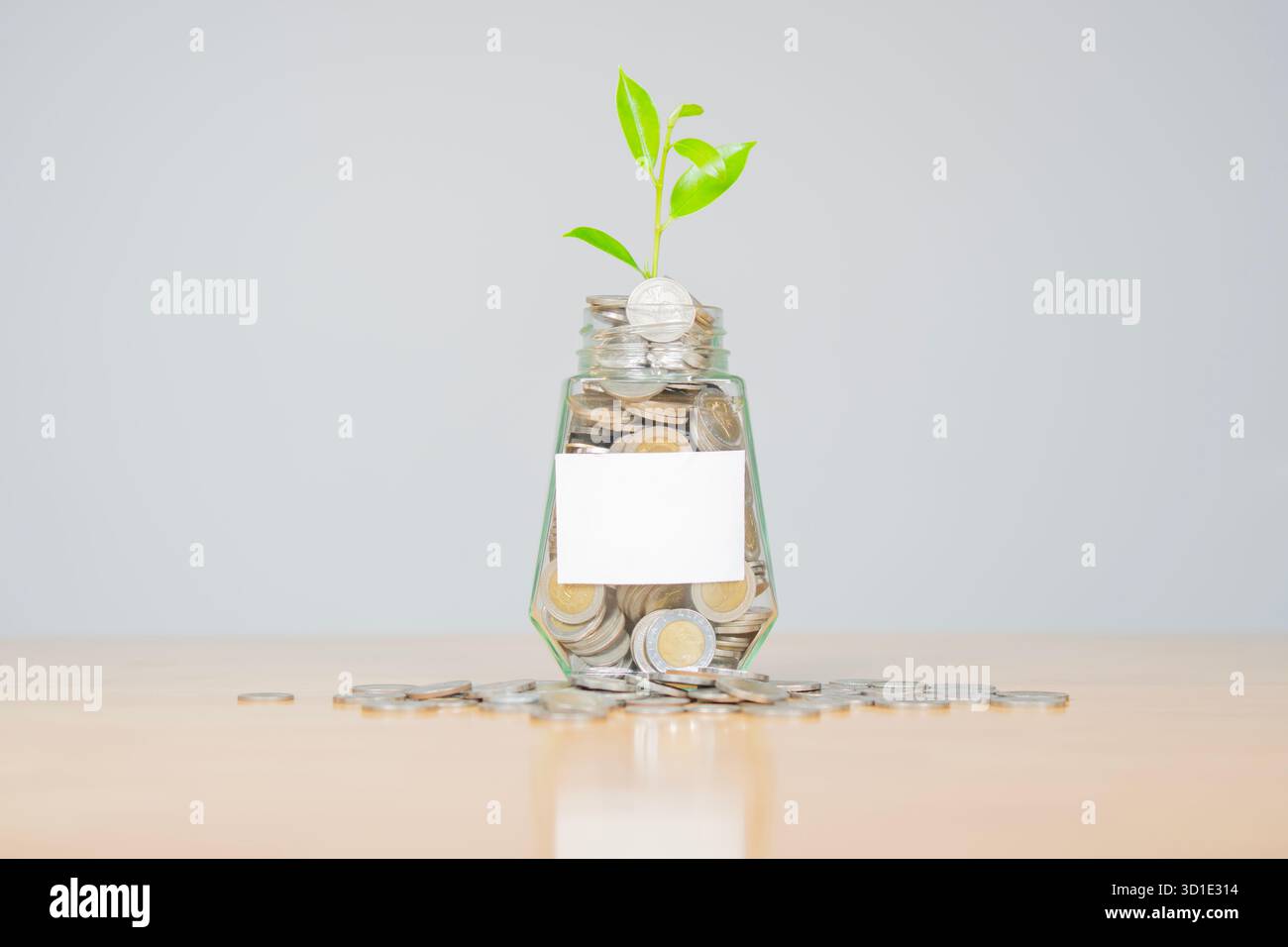Glass jar filled with coins and a small seedling in the center, with stacks of coins on wooden table with copy space. Stock Photo