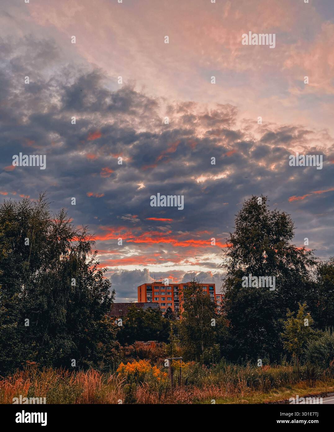 Urban skyline at sunset with colorful sky and modern buildings - Smartphone Captured Stock Image