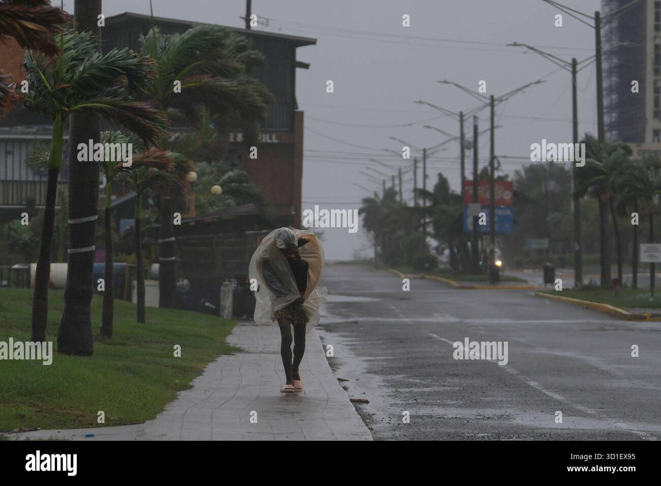 A Man Walks In Kingston Jamaica As Hurricane Melissa Approaches a-man-walks-in-kingston-jamaica-as-hurricane-melissa-approaches