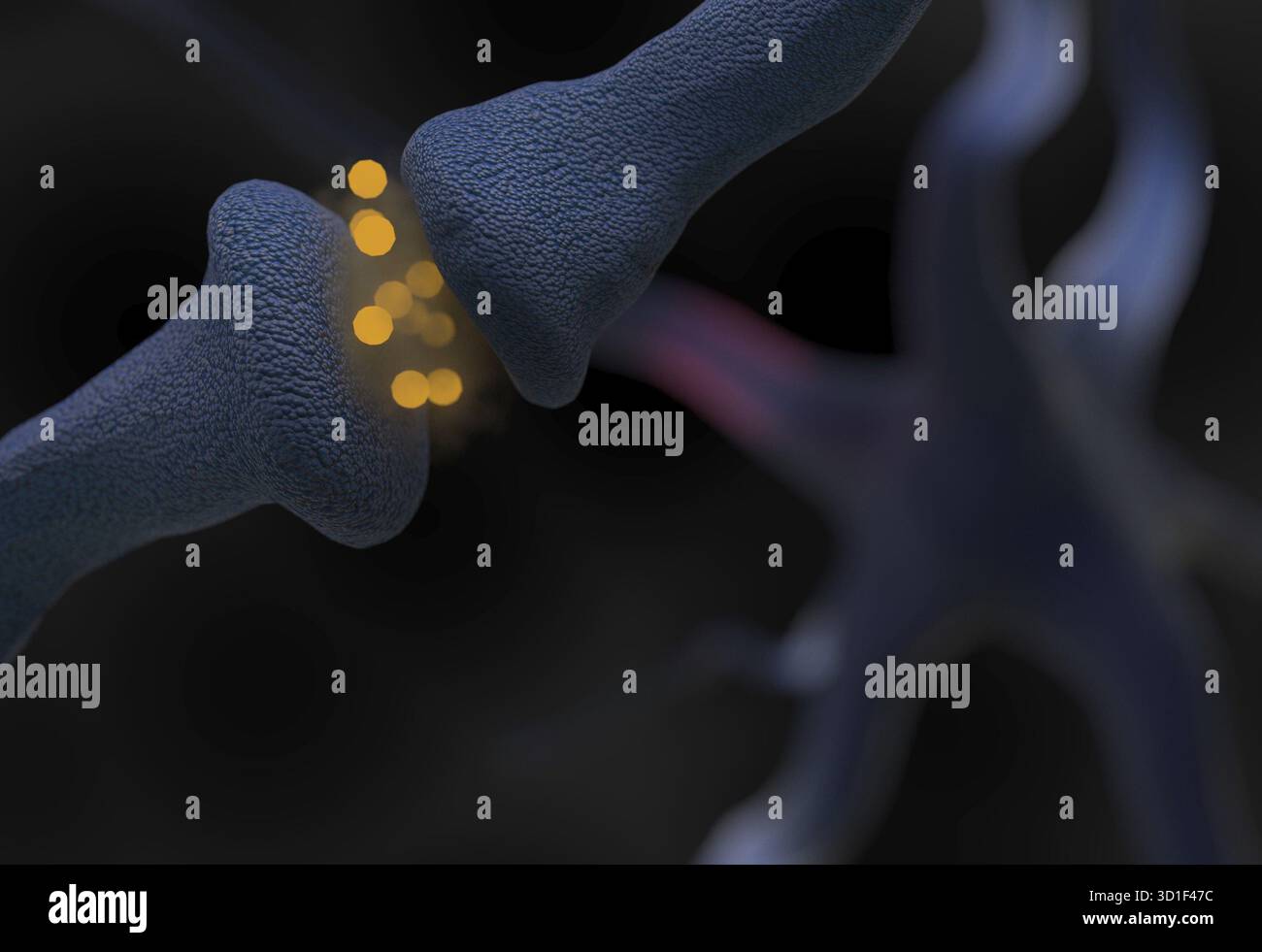 Synapse and Neuron cells sending electrical chemical signals 3d render ...
