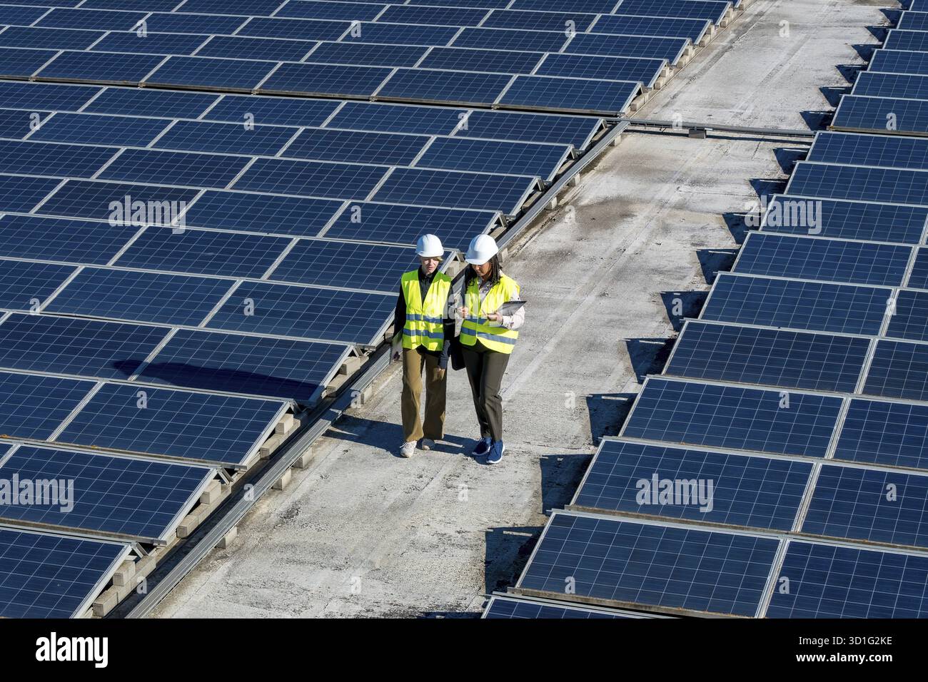 Two engineers, a man and a woman, are working outdoors, reviewing plans and inspecting rows of solar panels on a large rooftop array, embodying renewa Stock Photo