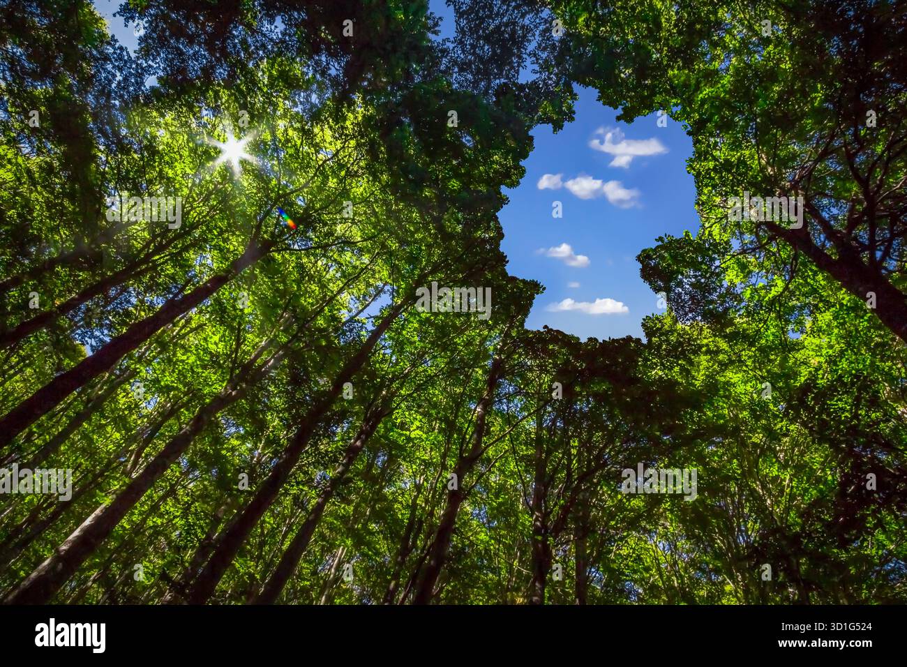 Germany Sustainability Concept Stock Photo