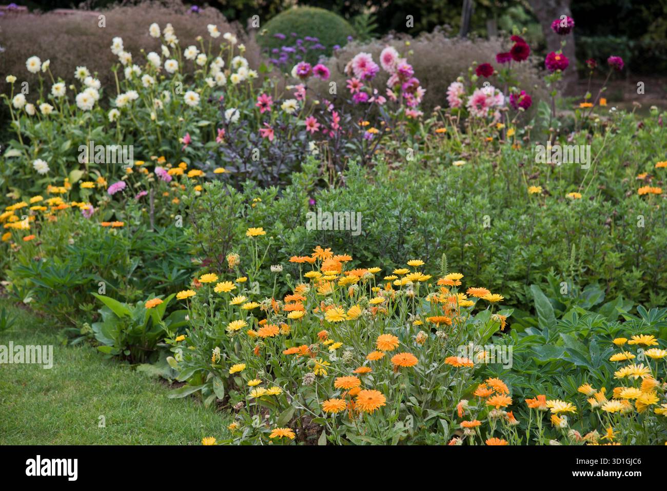 Garden flower bed border hi-res stock photography and images - Alamy