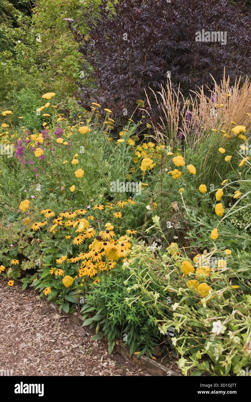 Garden flower bed border hi-res stock photography and images - Alamy