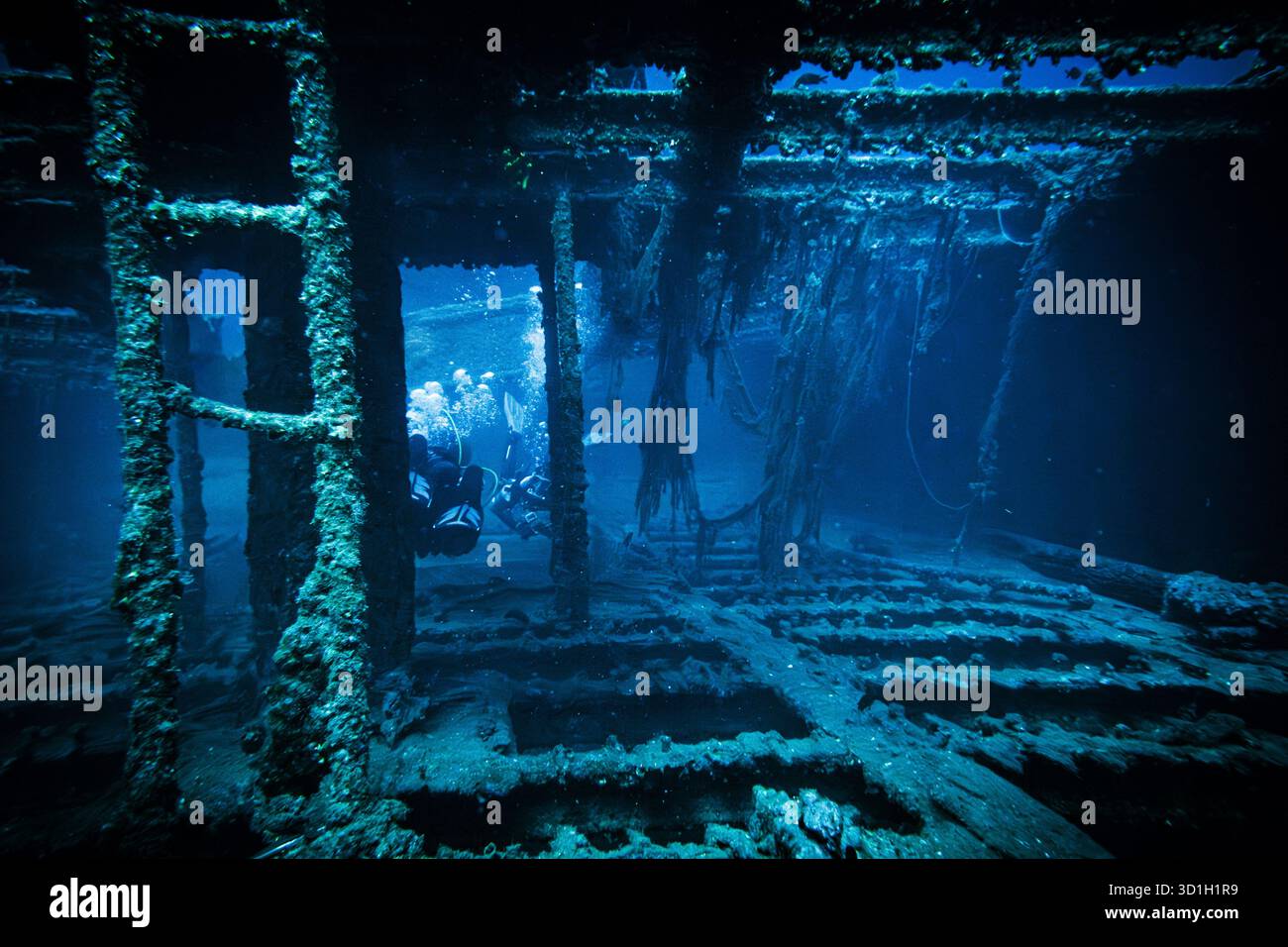 Sunken Shipwreck with Scuba Divers Exploring Underwater Wreckage Stock Photo