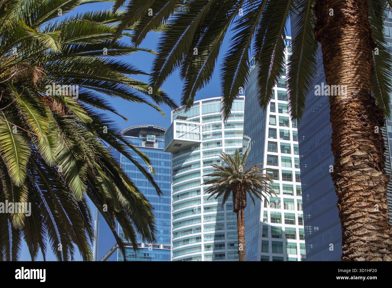 Palm trees modern buildings hi-res stock photography and images - Alamy