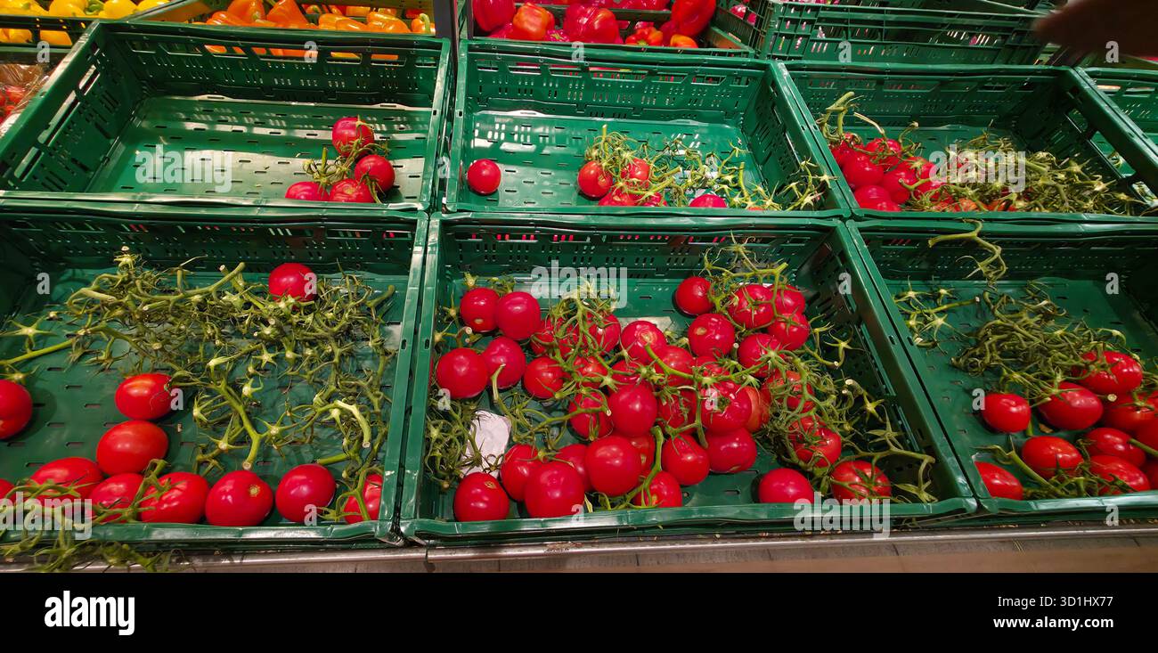 Fresh red tomatoes are arranged in green baskets at a lively market setting. - Smartphone Captured Stock Image