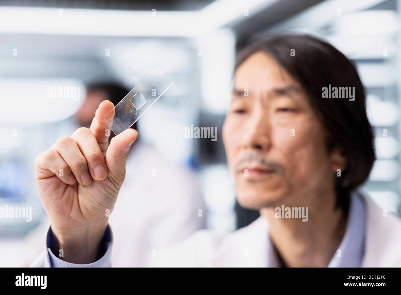 Close up of senior researcher in laboratory inspecting specimen slide ...