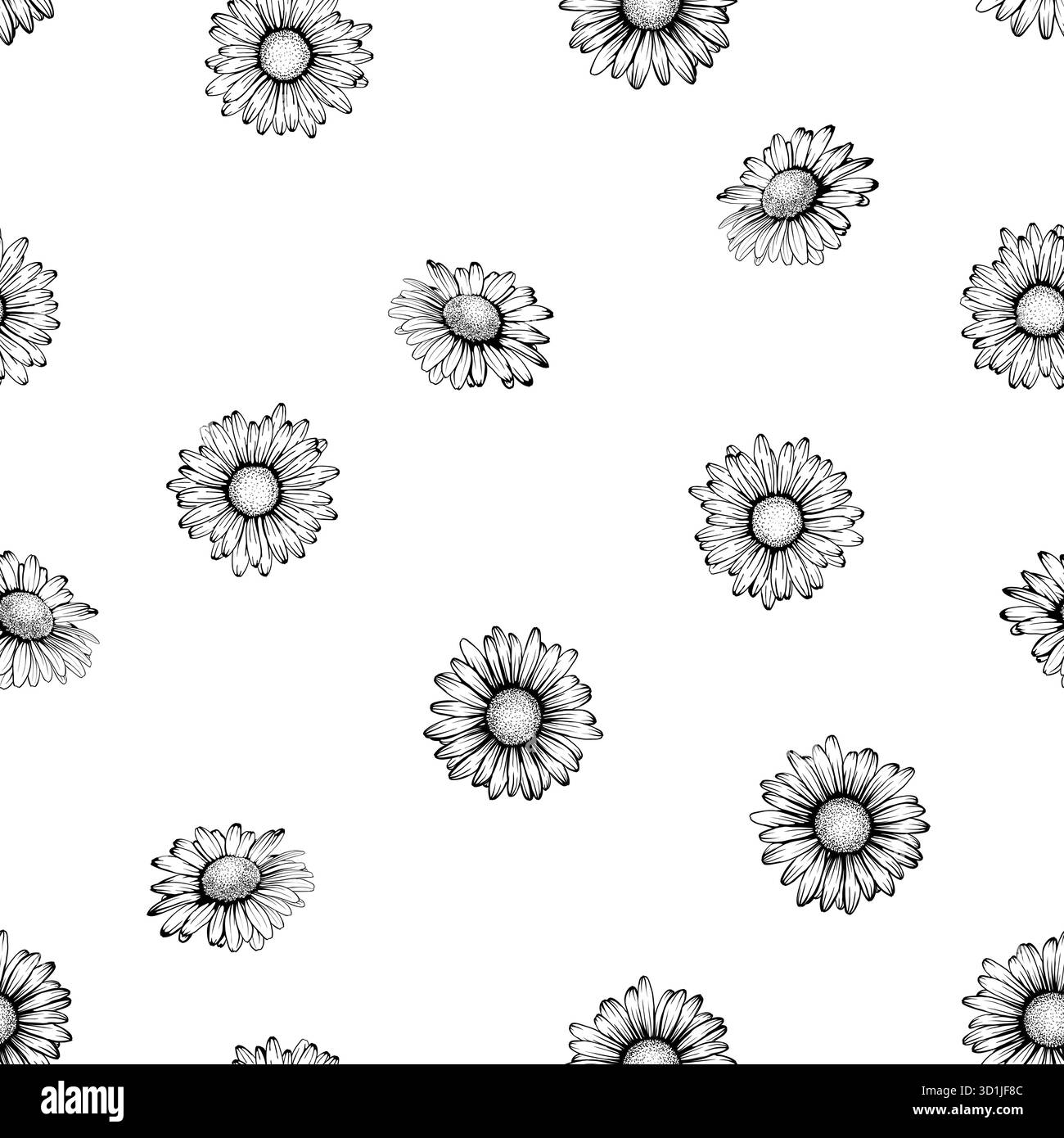 White flowers daisy Black and White Stock Photos Images Alamy