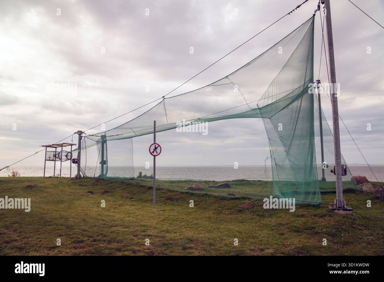 Bird net at Vente Cape (Lithuania) one of the first bird ringing ...