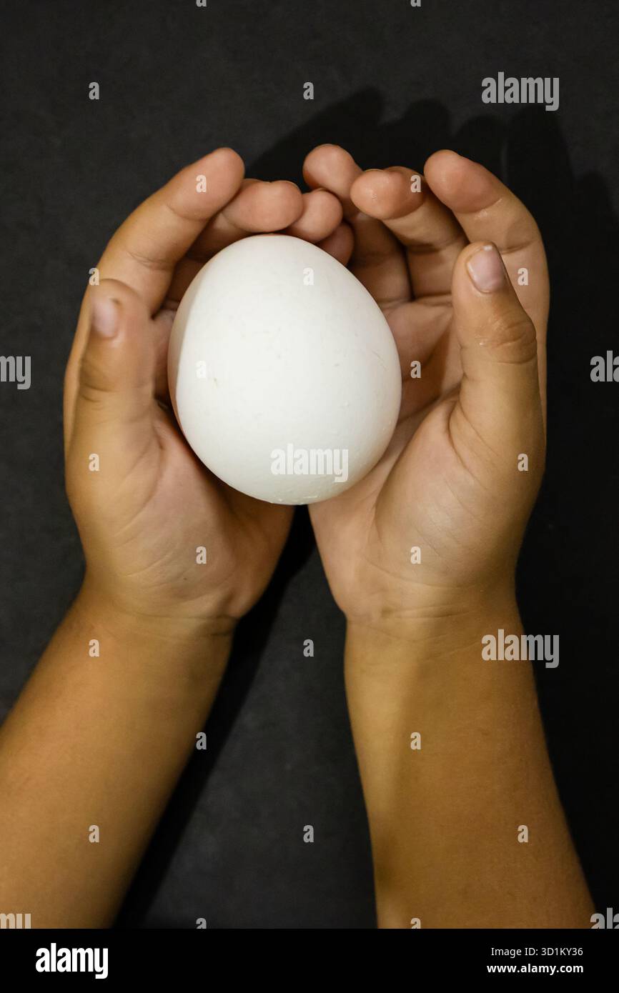 small hands holding an egg depicting responsibility and care concept Stock Photo