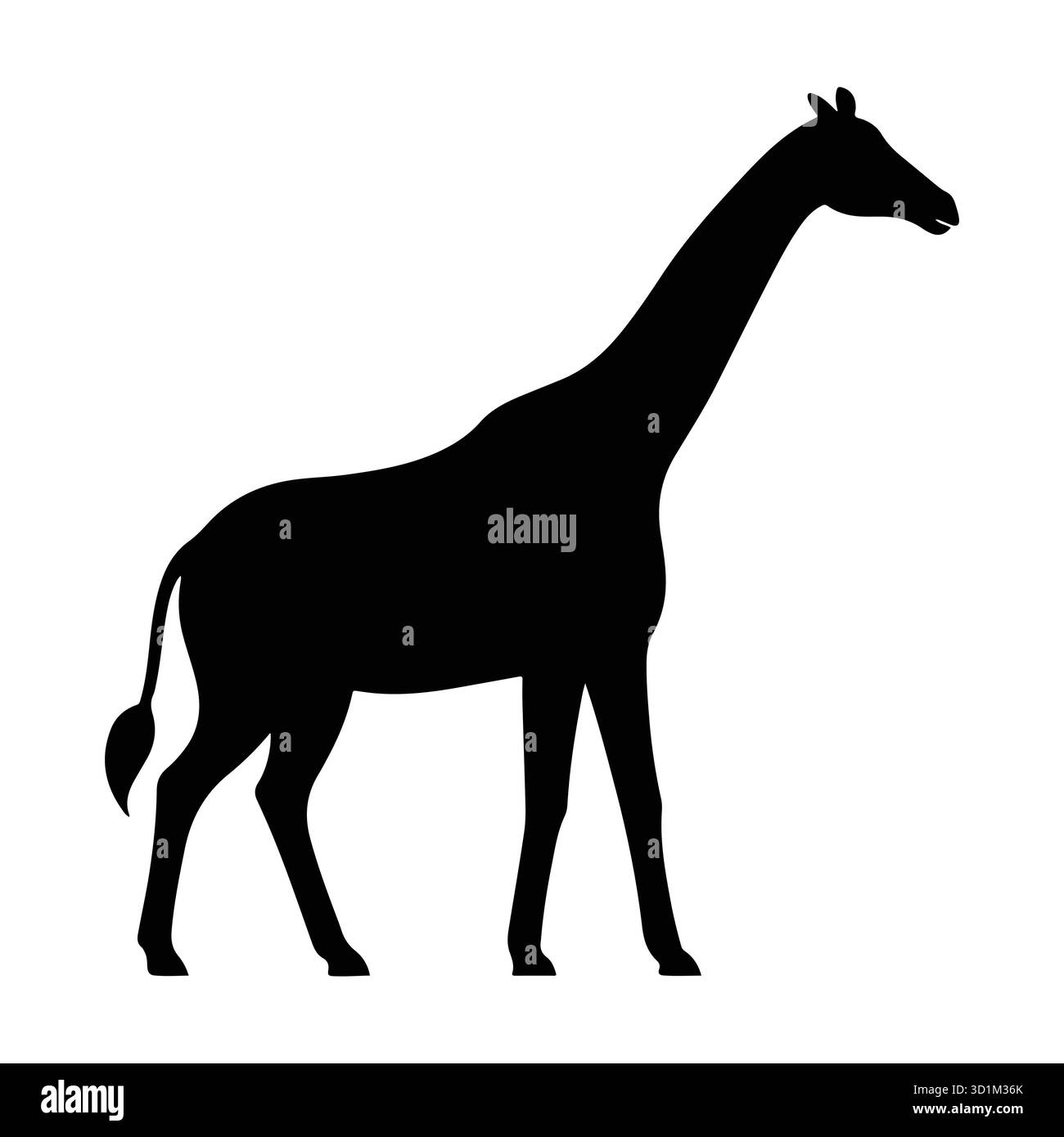 Vector drawing silhouette of a giraffe Black and White Stock Photos ...