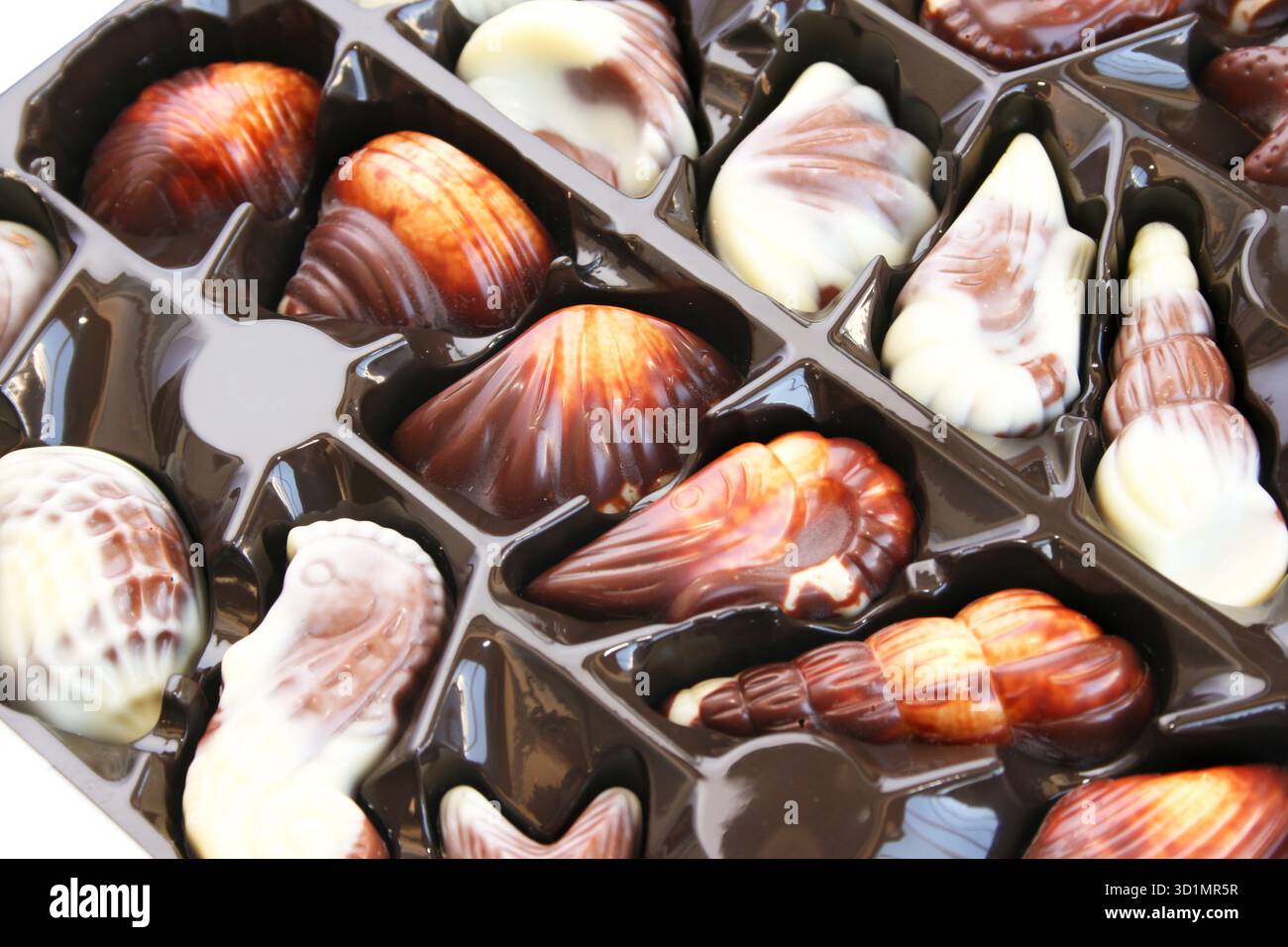 Chocolate seashells Stock Photo