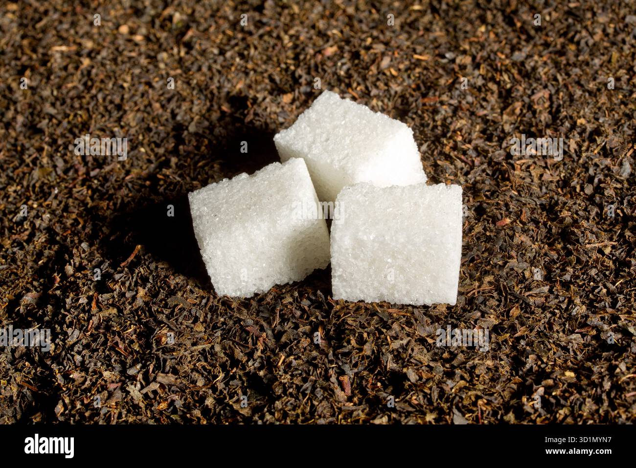 Sugar cubes on dried leafs of tea Stock Photo