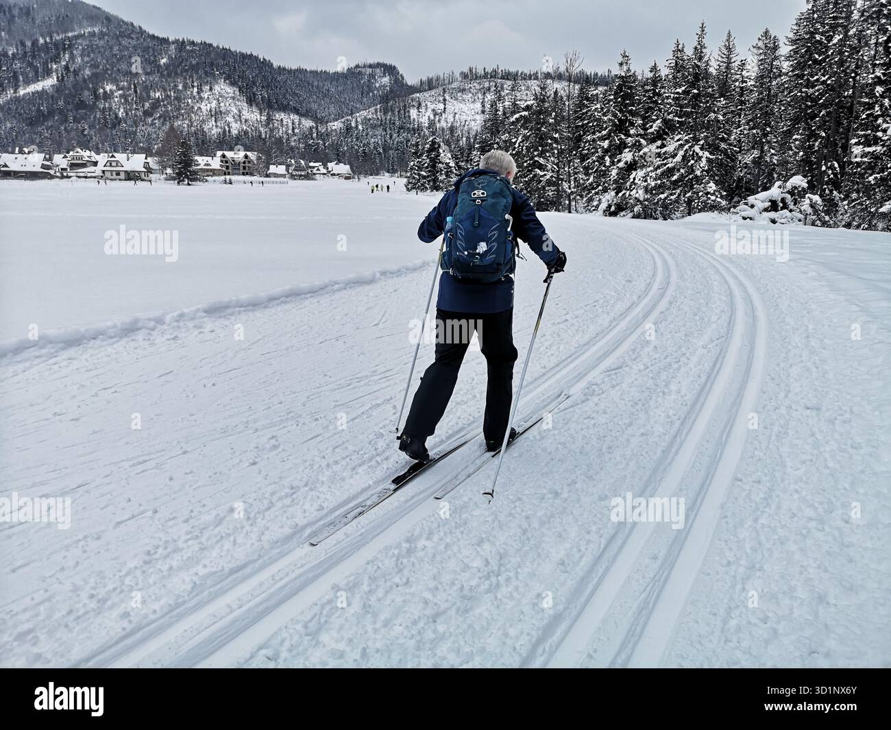 Cross-country skier gliding through snowy open groomed terrain near Zakopane, Tatra Mountains, Poland – winter sport in scenic alpine landscape - Smartphone Captured Stock Image