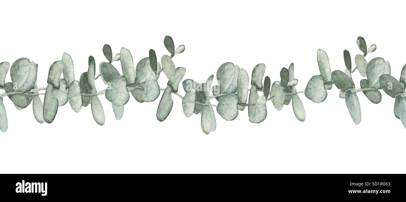 Watercolor eucalyptus seamless border with green leaves. Hand painted ...